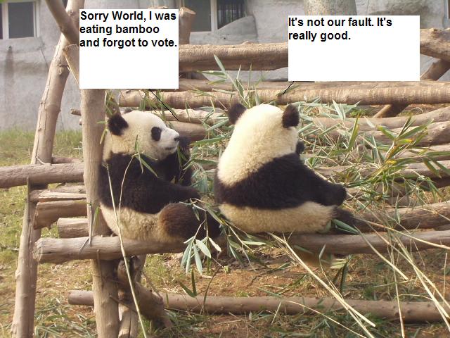  Sorry World from Panda 