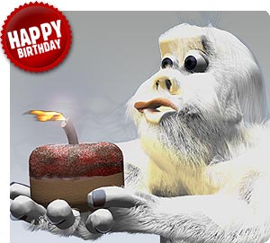  Yeti Birthday 