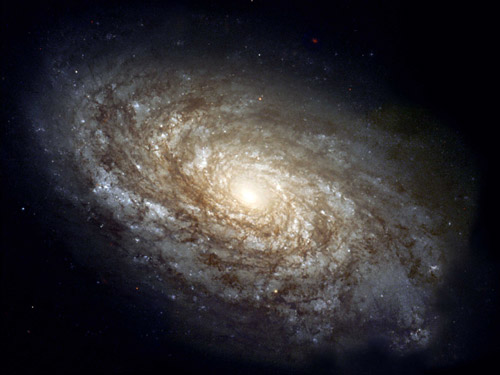  Spiral Galaxy 