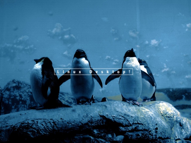  Penguin gang 