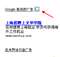 Google icon on AdSense